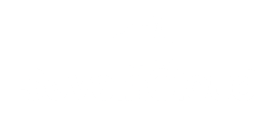 Status - SaveinCloud